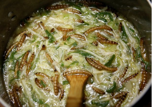 Nếu bạn nghĩ mình chẳng sợ ăn gì, hãy thử món mì Ramen côn trùng Nhật Bản này đi - Ảnh 1.