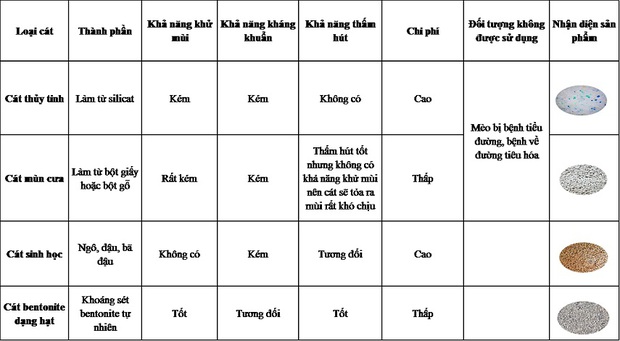Quên xỉ than đi, các bé mèo chỉ thích cát vệ sinh thôi - Ảnh 3.