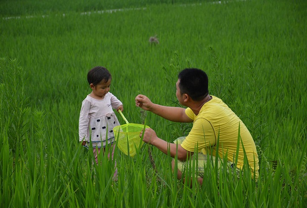 Cư dân mạng xót xa trước câu chuyện người cha nén nước mắt đào mộ để cô con gái sắp chết thích nghi dần - Ảnh 1.