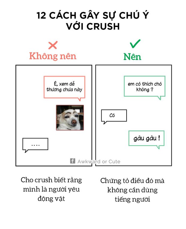 Tán đổ crush chỉ trong vòng 1 nốt nhạc với trọn bộ 12 bí kíp bất bình thường này! - Ảnh 17.