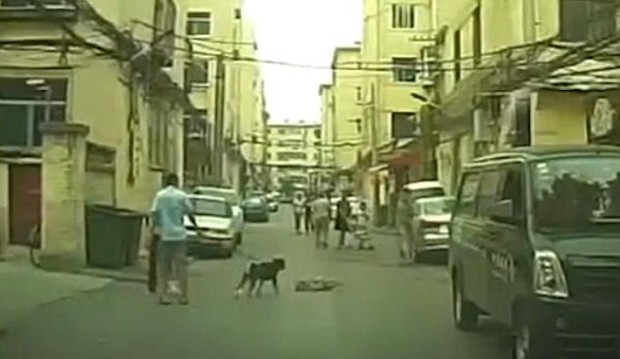 Gây sự với cún có chủ, một chú chó hoang bị đánh đập dã man giữa phố - Ảnh 3.