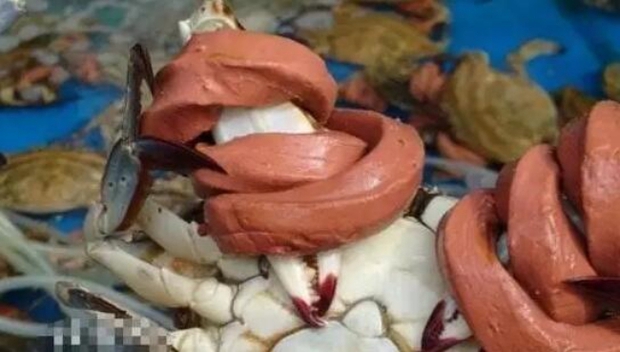 Tưởng mua được con cua tươi ngon, nào ngờ phải méo mặt vì bị độn đến hơn nửa cân dây chun - Ảnh 6.