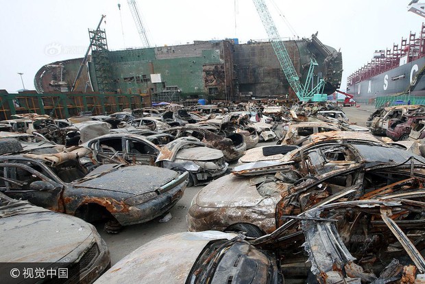 Hình ảnh hơn 100 ô tô biến thành đống sắt gỉ sau 3 năm nằm dưới đáy biển cùng phà Sewol khiến nhiều người rùng mình - Ảnh 4.