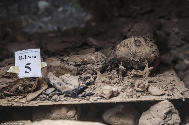 Khai quật mộ cổ Ai Cập 2300 năm tuổi - ít nhất 17 xác ướp cấp cao được tìm thấy - Ảnh 4.