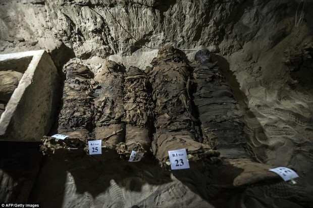 Khai quật mộ cổ Ai Cập 2300 năm tuổi - ít nhất 17 xác ướp cấp cao được tìm thấy - Ảnh 1.
