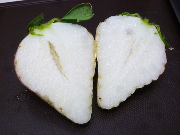 Có gì bên trong dâu tây trắng khổng lồ 200.000 đồng/quả độc nhất vô nhị tại Nhật Bản? - Ảnh 6.