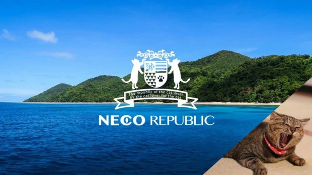 Nhật Bản: Tổ chức bảo vệ động vật muốn mua cả một hòn đảo làm vương quốc cho loài mèo - Ảnh 1.