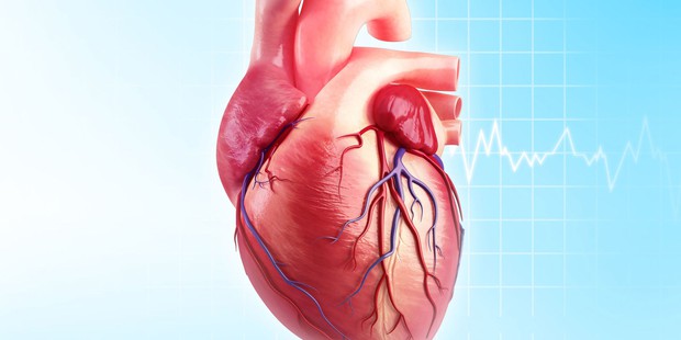 Ngăn ngừa đau tim và đột quỵ với 3 loại thực phẩm dễ tìm vừa được các nhà nghiên cứu công bố - Ảnh 1.