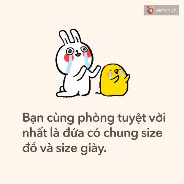 Chọn bạn cùng phòng trọ: Sướng hay khổ còn tùy duyên! - Ảnh 22.