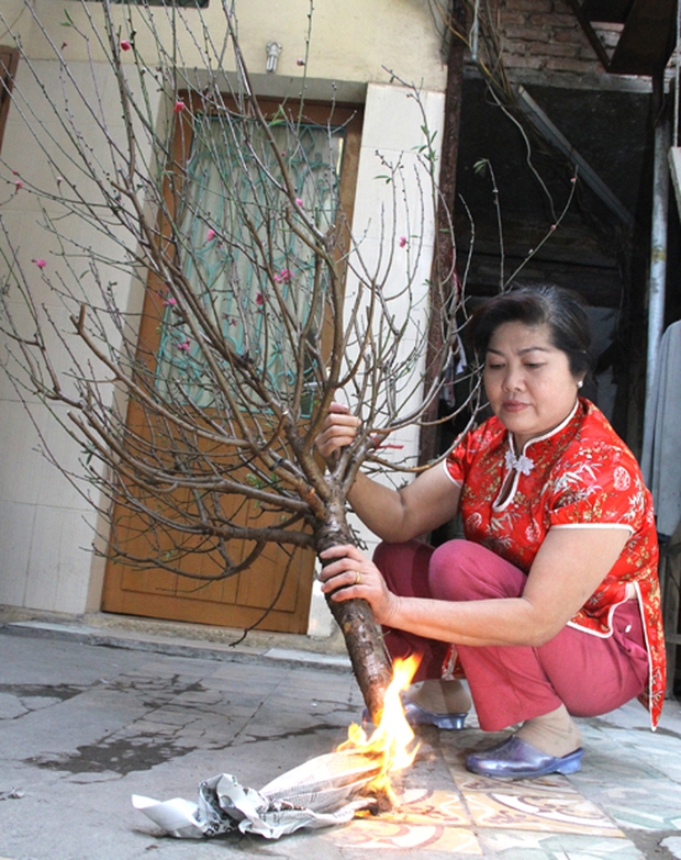 Người người tiêu dùng khơi là nhen nhóm gốc tuy nhiên liệu chúng ta với biết thực sự này? - Hình ảnh 3.