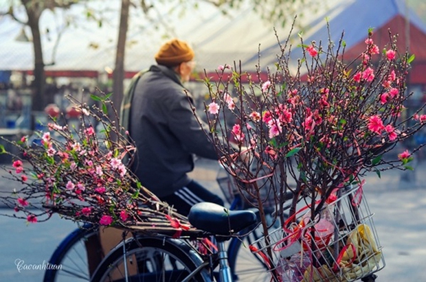 Người người tiêu dùng khơi là nhen nhóm gốc tuy nhiên liệu chúng ta với biết thực sự này? - Hình ảnh 1.