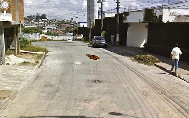 Những bức ảnh tình cờ đến bất ngờ được chụp bởi Google Street View - Ảnh 5.