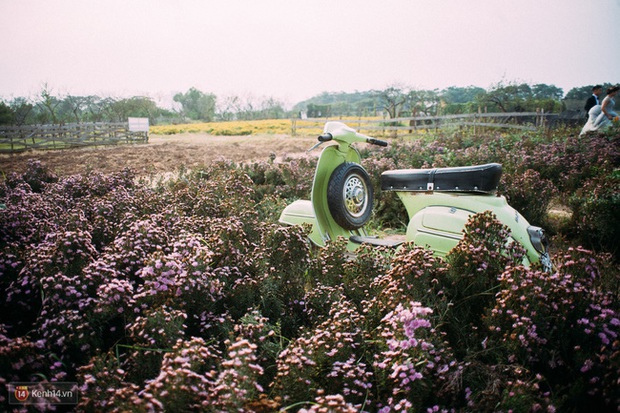 Cần gì đi đâu xa, Hà Nội có 2 khu vườn xinh xắn “đẹp như truyện cổ tích” như này cơ mà! - Ảnh 19.
