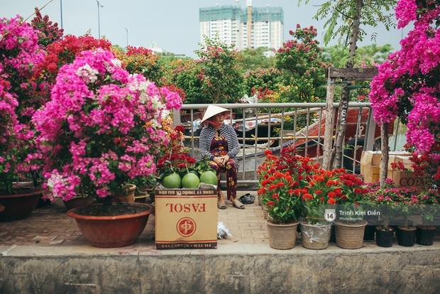 Chiều cuối năm, đừng quên ghé loạt chợ hoa xuân ở Sài Gòn để thấy Tết đang về! - Ảnh 11.