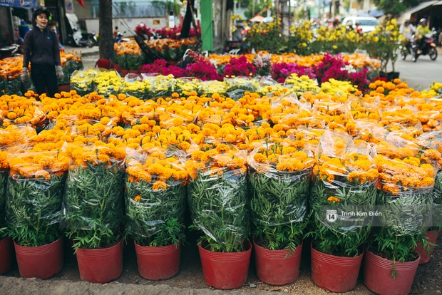 Chiều cuối năm, đừng quên ghé loạt chợ hoa xuân ở Sài Gòn để thấy Tết đang về! - Ảnh 31.