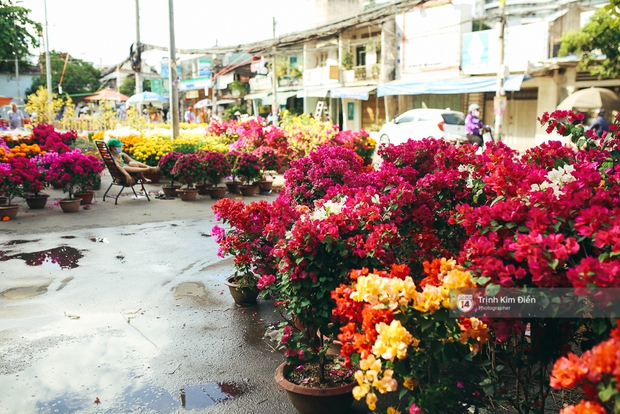 Chiều cuối năm, đừng quên ghé loạt chợ hoa xuân ở Sài Gòn để thấy Tết đang về! - Ảnh 27.