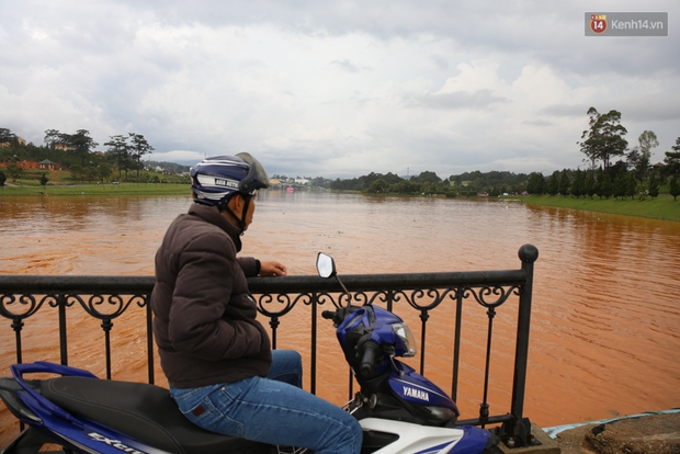 Sau cơn mưa lớn, rác thải và cá chết nổi trắng mặt hồ Xuân Hương ở Đà Lạt - Ảnh 18.