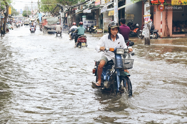 Cảnh tượng bi hài của người Sài Gòn sau những ngày mưa ngập: Sáng quăng lưới, tối thả cần câu bắt cá giữa đường - Ảnh 2.