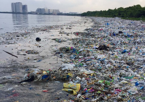 Cảnh báo: Số rác nhựa con người thải ra đã ngang ngửa 1 tỉ con voi cỡ bự - Ảnh 5.