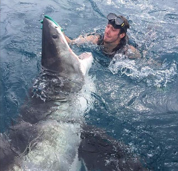 Sự thật đằng sau bức ảnh rùng rợn Selfie cùng cá mập khiến cư dân mạng dậy sóng - Ảnh 2.