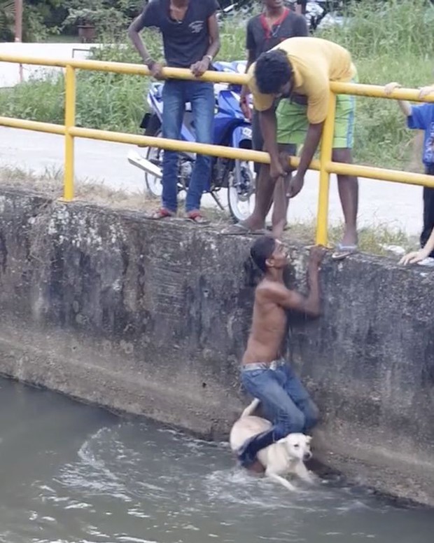 Chàng trai quên mình cứu chú chó đang chới với giữa dòng nước khiến nhiều người xúc động - Ảnh 2.