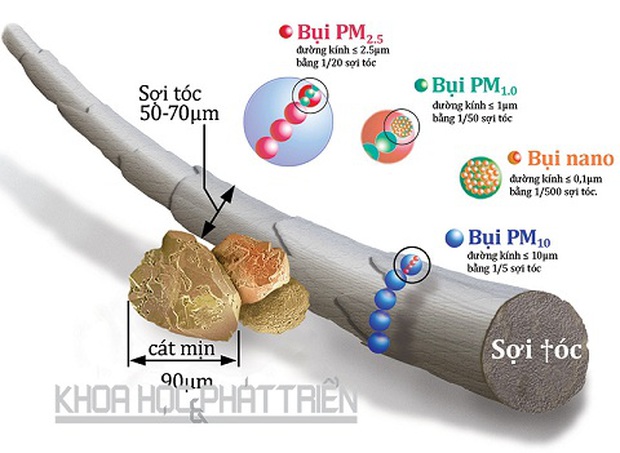 Không khí ở Việt Nam: Phát hiện bụi nano có thể “đầu độc” DNA - Ảnh 2.