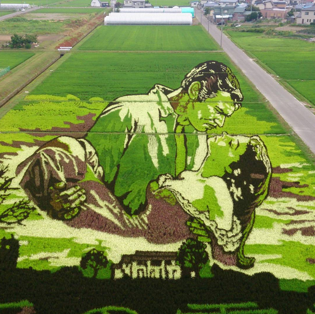 Ngắm triển lãm tranh nghệ thuật trên ruộng lúa tại Nhật Bản - Ảnh 8.