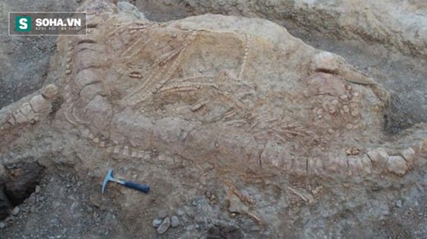 Khai quật thủy quái khổng lồ kỷ Jura 150 triệu năm tuổi ở Ấn Độ - Ảnh 2.