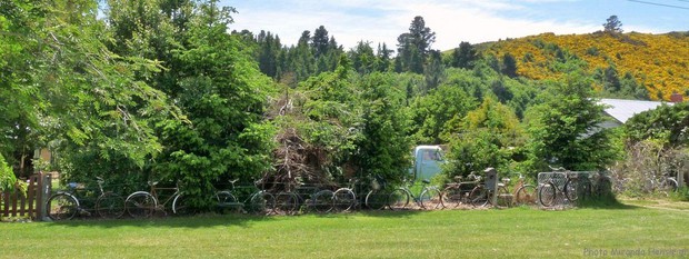 Mặc ai trang trí hoa cỏ đẹp lung linh, người New Zealand lại sử dụng đồ cũ vứt đi để làm đẹp hàng rào, kết quả lại vô cùng ấn tượng - Ảnh 11.