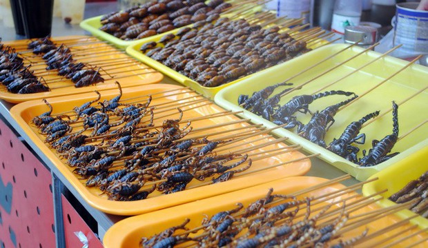 Những món ăn côn trùng kinh dị không phải ai cũng dám thử, đặc sản Việt Nam cũng góp mặt trong đó - Ảnh 1.