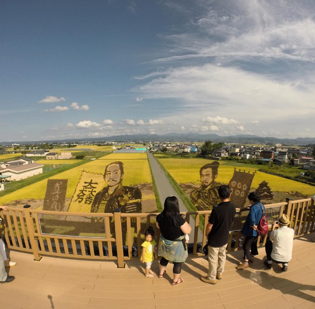 Ngắm triển lãm tranh nghệ thuật trên ruộng lúa tại Nhật Bản - Ảnh 28.