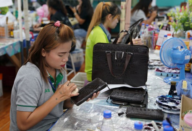 Từ trang trại đến nhà máy: Những hình ảnh rùng rợn về ngành công nghiệp nuôi cá sấu Thái Lan - Ảnh 10. Từ trang trại đến nhà máy: Những hình ảnh rùng rợn về ngành công nghiệp nuôi cá sấu Thái Lan - Ảnh 10.