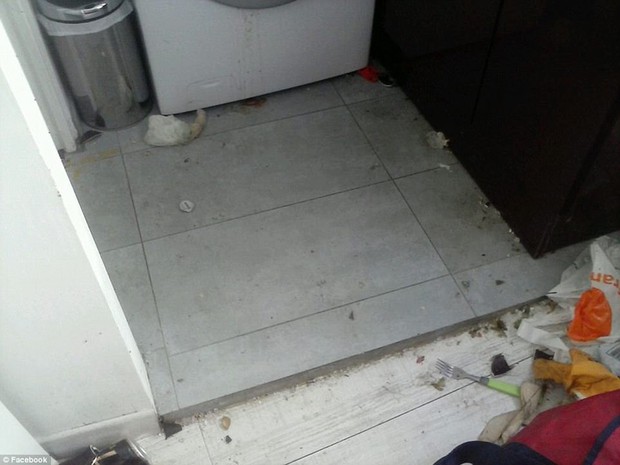 Cho thuê nhà Airbnb, cô gái trẻ bàng hoàng khi được trả lại nhà với cảnh tượng bẩn như bãi rác - Ảnh 10.