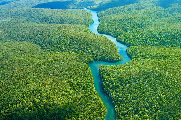 Phát hiện kỳ thú này đã đưa sông Amazon soán ngôi sông Nile với hạng mục sông dài nhất thế giới - Ảnh 3. Phát hiện kỳ thú này đã đưa sông Amazon soán ngôi sông Nile với hạng mục sông dài nhất thế giới - Ảnh 3.