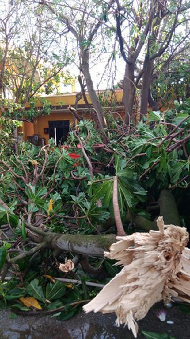 Đảo Trường Sa và nhà giàn DK1 sau bão Tembin - Ảnh 5.