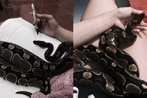 Cô giáo tiểu học nổi tiếng vì xinh và có sở thích dị: ngủ chung với rắn - Ảnh 7.