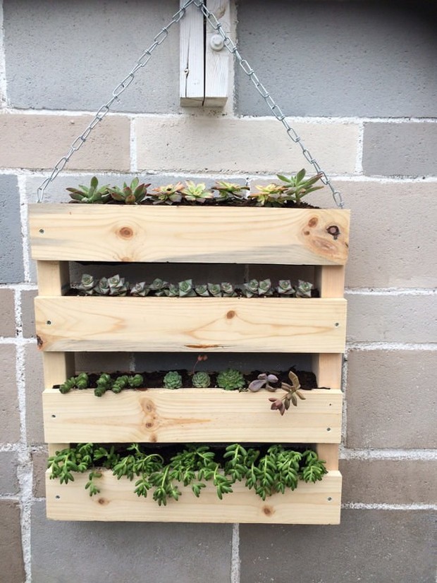 16 ý tưởng trồng cây tiết kiệm diện tích trong nhà nhỏ - Ảnh 15.