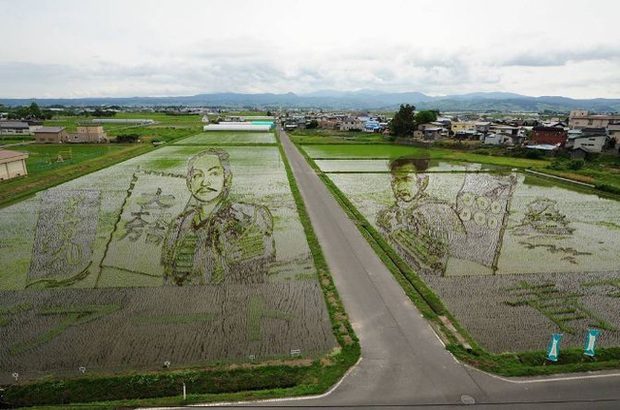 Ngắm triển lãm tranh nghệ thuật trên ruộng lúa tại Nhật Bản - Ảnh 24.