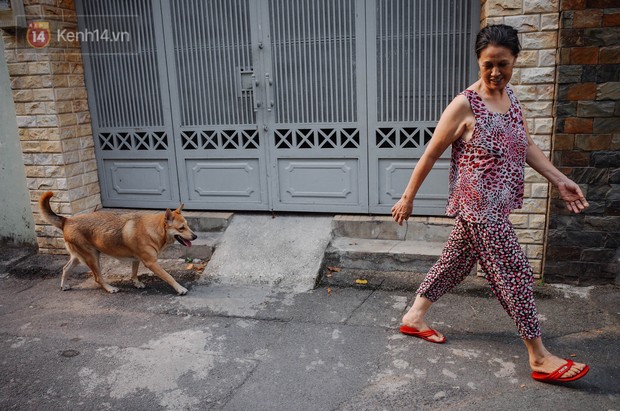 Gặp Gấu - chú chó cá tính nhất Sài Gòn: Chủ mua gì cũng xung phong xách hộ, không cho theo thì hờn mát bỏ ăn! - Ảnh 6.