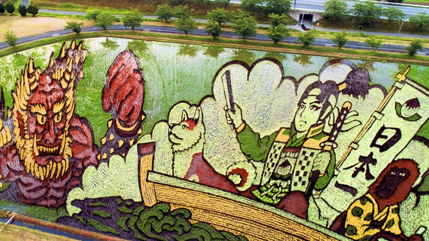 Ngắm triển lãm tranh nghệ thuật trên ruộng lúa tại Nhật Bản - Ảnh 4.