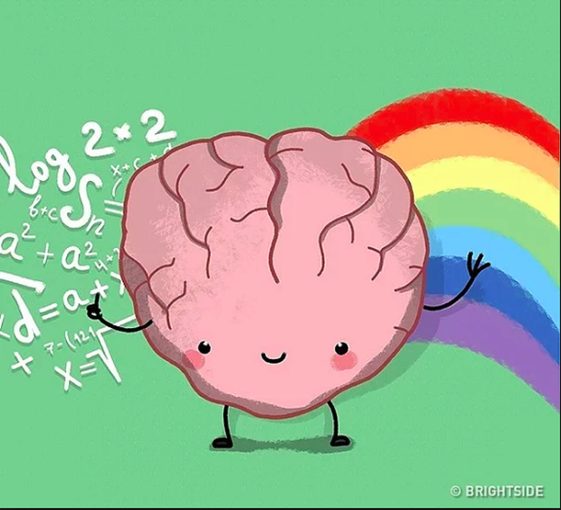 9 sự thật thú vị khiến bạn phải thốt lên cơ thể ta thật kì diệu - Ảnh 2.