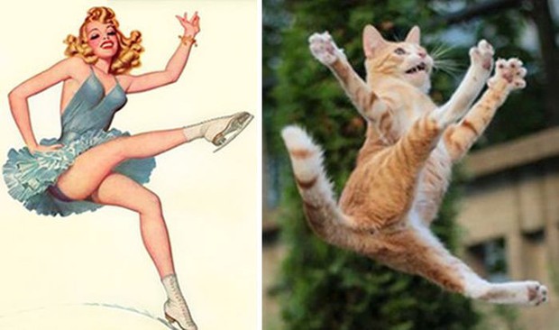 14 short-legged cats learn to cosplay sexy photos - Photo 5.