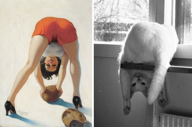 14 short-legged cats learn to cosplay sexy photos - Photo 15.