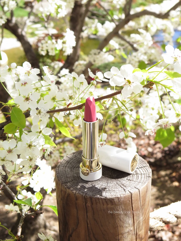 Nổi tiếng là thế mà Too Faced lại bị kiện vì đạo nhái thiết kế trắng trợn - Ảnh 4. Nổi tiếng là thế mà Too Faced lại bị kiện vì đạo nhái thiết kế trắng trợn - Ảnh 4.