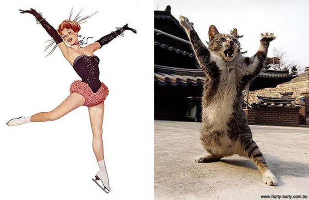14 short-legged cats learn to cosplay sexy photos - Photo 19.