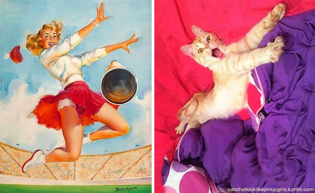 14 short-legged cats learn to cosplay sexy photos - Photo 25.