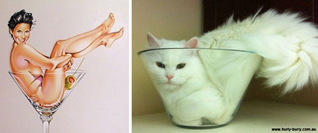 14 short-legged cats learn to cosplay sexy photos - Photo 27.