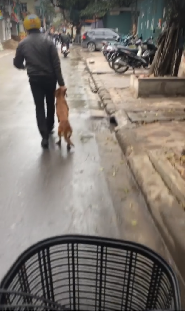 Clip: Người chủ liên tục túm cổ, dìm chú chó đáng thương xuống nước khiến ai xem cũng xót xa - Ảnh 2.