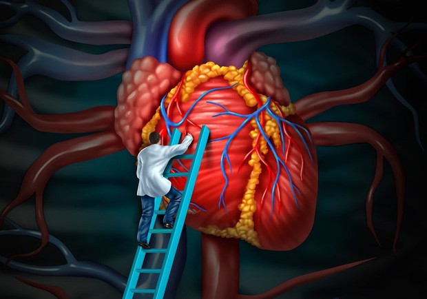 Đây là những căn bệnh về tim thường gặp nhất mà bạn không nên chủ quan bỏ qua - Ảnh 4.