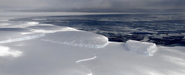 Tiếng hát đến từ Nam Cực sẽ là âm thanh ám ảnh bạn nhất trong ngày hôm nay - Ảnh 2.
